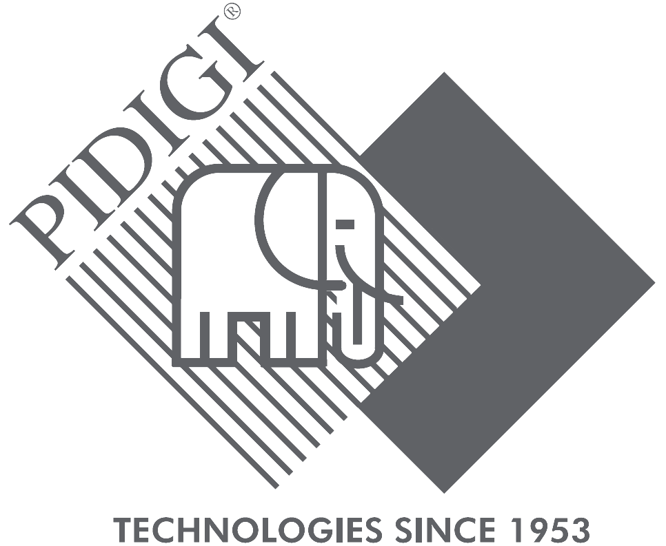 Pidigi B2B